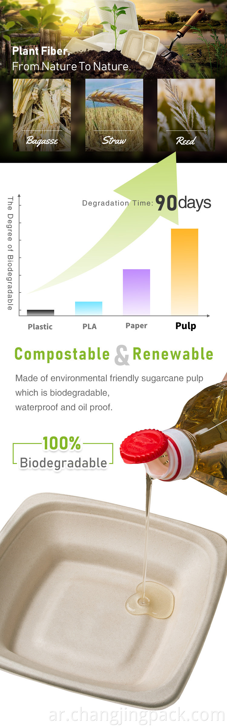  sugarcane bagasse packaging